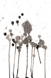 Similar image 1674483