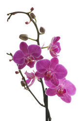 Similar image 1674491