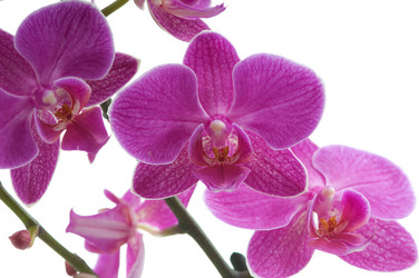 Similar image 1674521