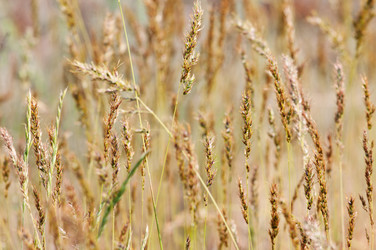 Similar image 1674530