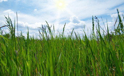 Similar image 1674531