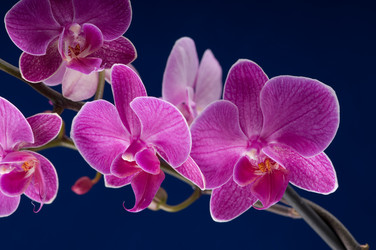 Similar image 1674533