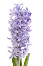 Similar image 1674536