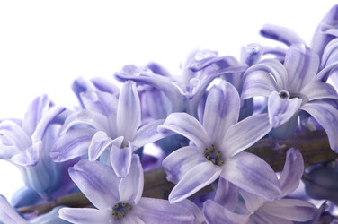 Similar image 1674537