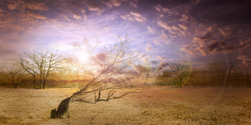 Similar image 1674676