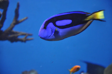 Similar image 1674693