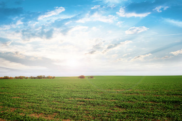 Similar image 1674706