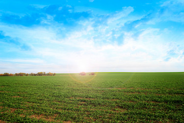 Similar image 1674735