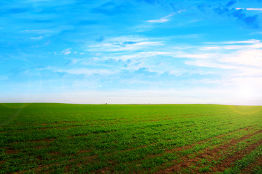 Similar image 1674737