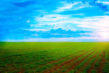 Similar image 1674738