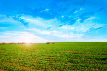 Similar image 1674739