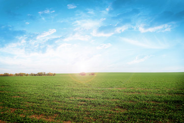 Similar image 1674740