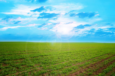 Similar image 1674741