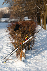 Similar image 1674829