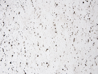 Similar image 1674839