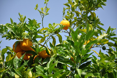 Similar image 1674869