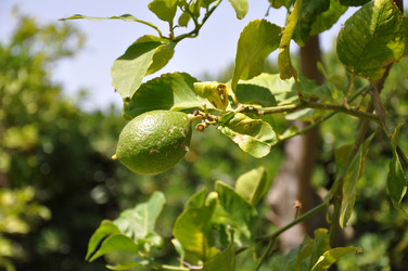 Similar image 1674871