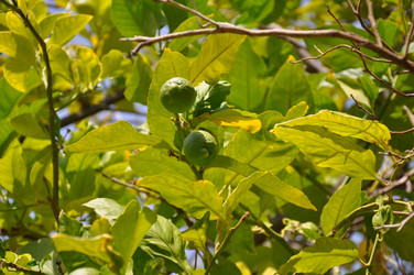 Similar image 1674873