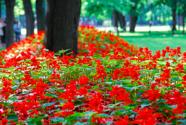 Similar image 1674874