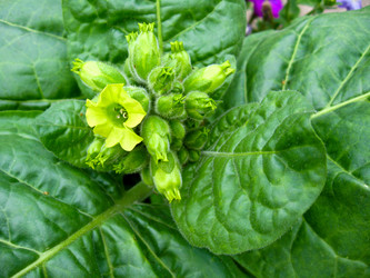 Similar image 1674888