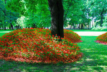 Similar image 1674901