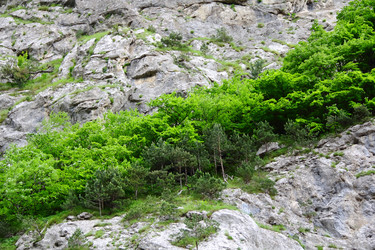 Similar image 1674907