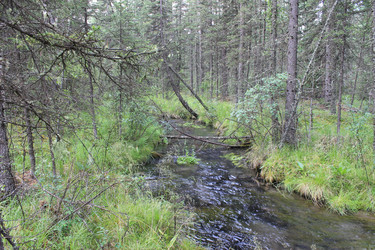 Similar image 1674918