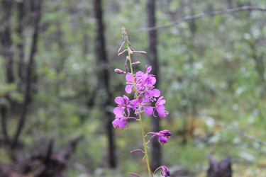 Similar image 1674919