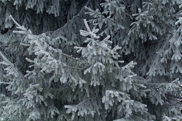 Similar image 1674936