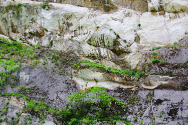 Similar image 1674939