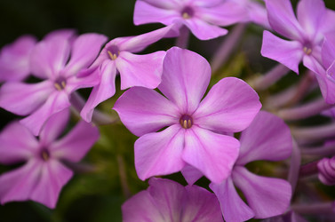 Similar image 1674970