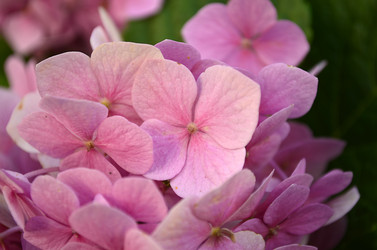 Similar image 1674971