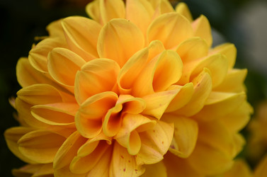 Similar image 1674972