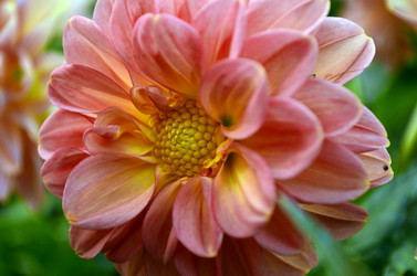 Similar image 1674977