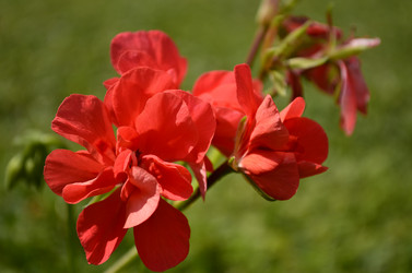 Similar image 1674978