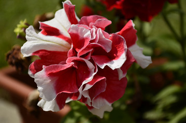 Similar image 1674979