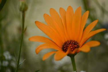 Similar image 1674980