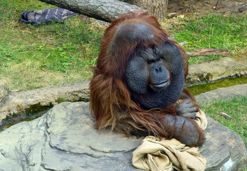 Similar image 1674981