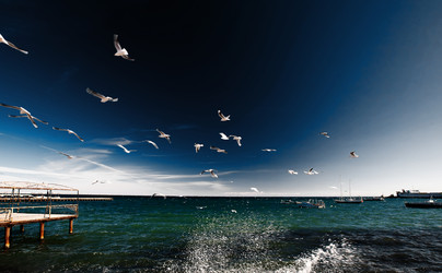 Similar image 1675005