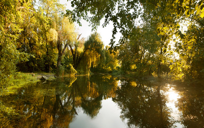 Similar image 1675022