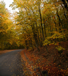 Similar image 1675023