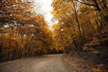 Similar image 1675024