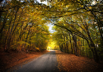 Similar image 1675025