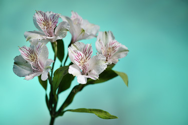 Similar image 1675040