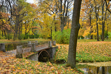 Similar image 1675052