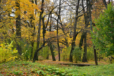 Similar image 1675053