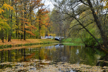 Similar image 1675058