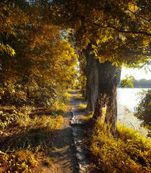 Similar image 1675062