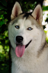 Similar image 1675071