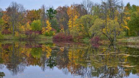 Similar image 1675075